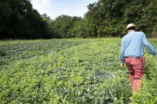 L'agriculture exprime son ras-le-bol mercredi face à des mesures d'économie jugées injustes (image prétexte/archives). KEYSTONE/LEANDRE DUGGAN